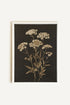 OLEKA CANVAS - FLEUR D&