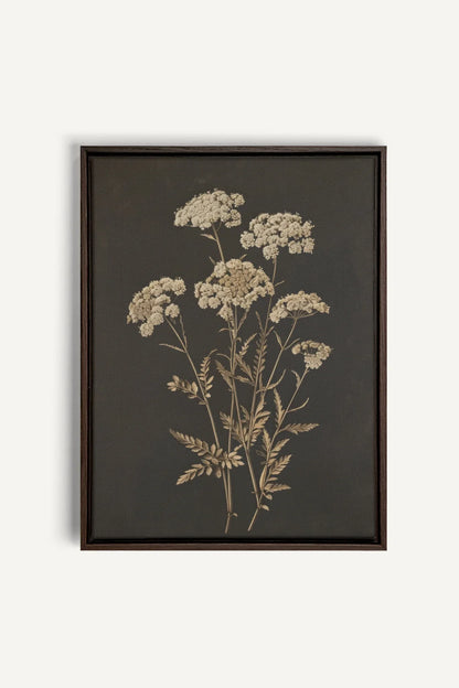 OLEKA CANVAS - FLEUR D&