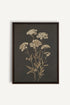 OLEKA CANVAS - FLEUR D&