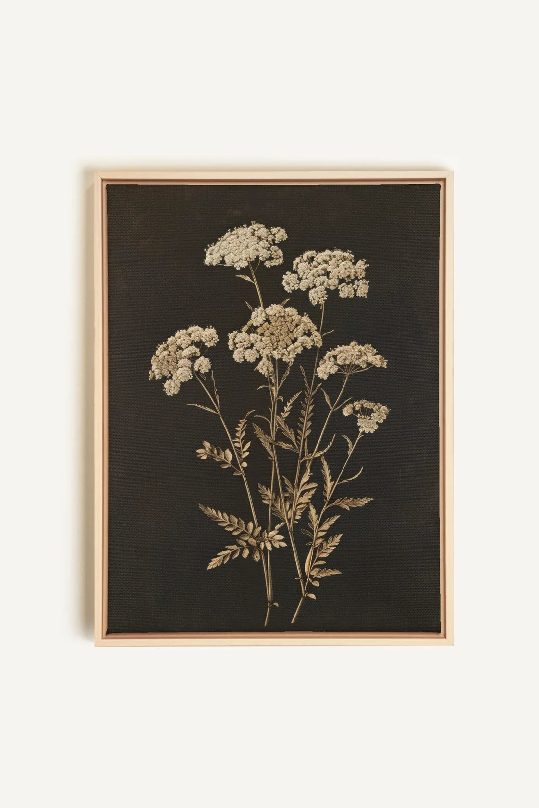 OLEKA CANVAS - FLEUR D&