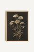 OLEKA CANVAS - FLEUR D&