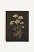 OLEKA CANVAS - FLEUR D&
