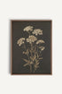 OLEKA CANVAS - FLEUR D&