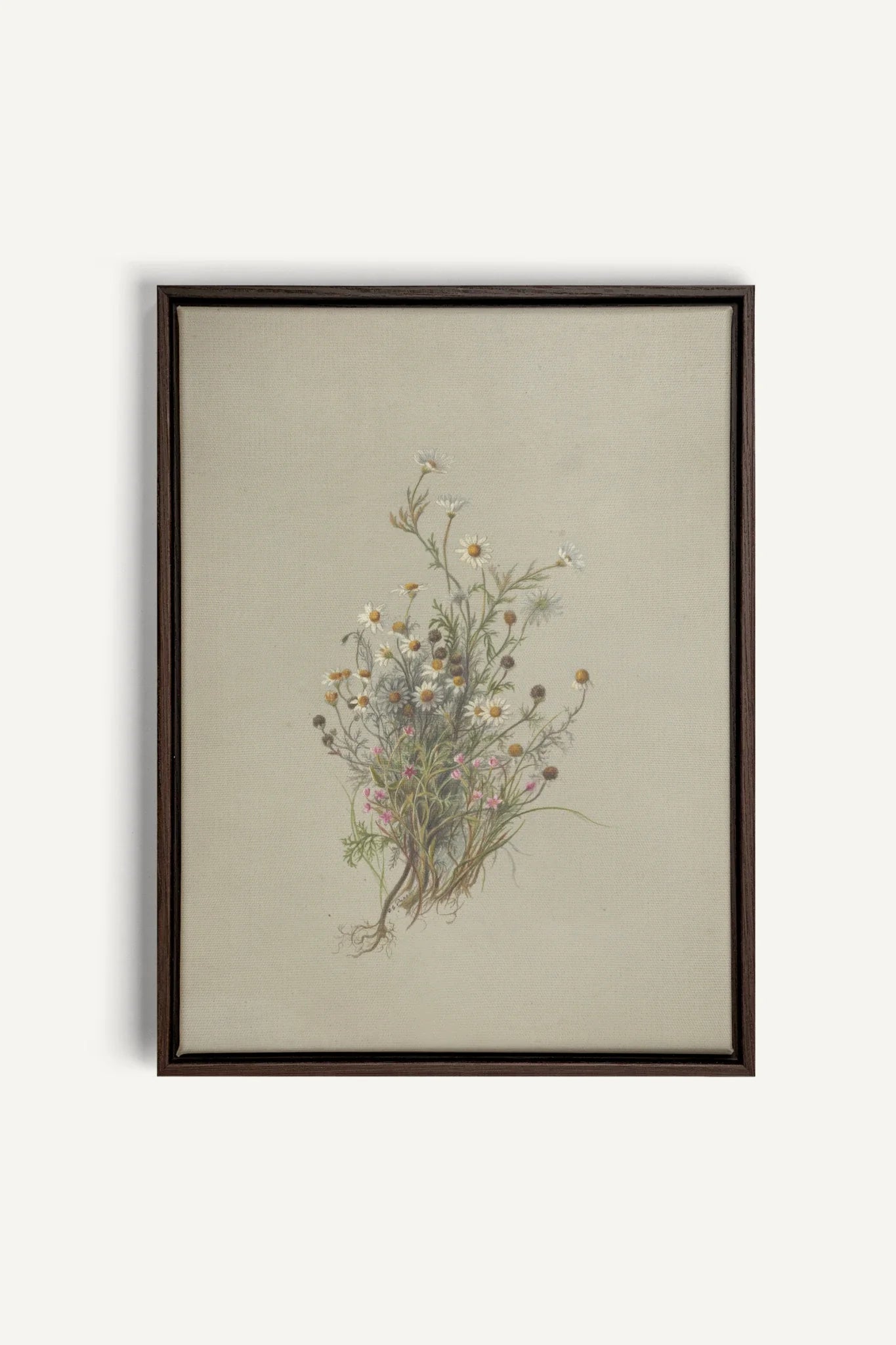 FLEURS DES PRÉS, Oeuvre sur toile étirée, encadré Brun Noyer