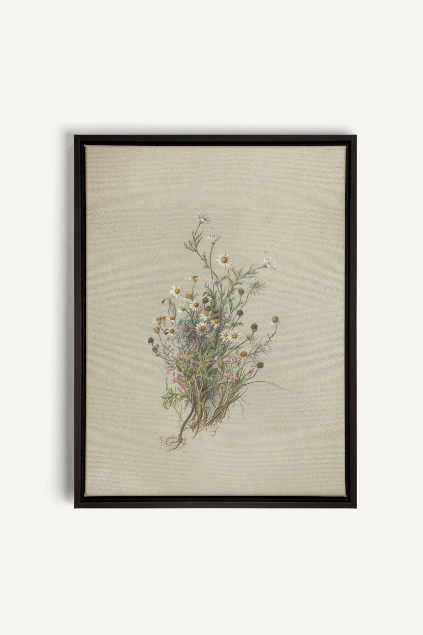 FLEURS DES PRÉS, Oeuvre sur toile étirée, encadré Noir