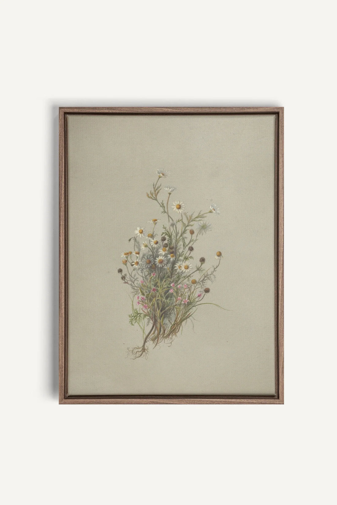 FLEURS DES PRÉS, Oeuvre sur toile étirée, encadré Brun Chêne