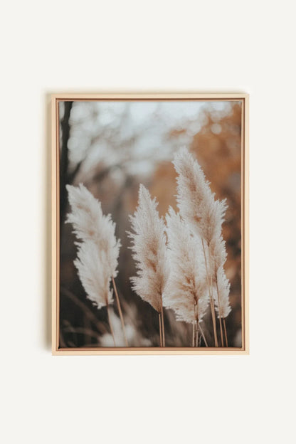 OLEKA CANVAS - GOLDEN FEATHER, Oeuvre sur toile étirée, encadré Naturel Clair