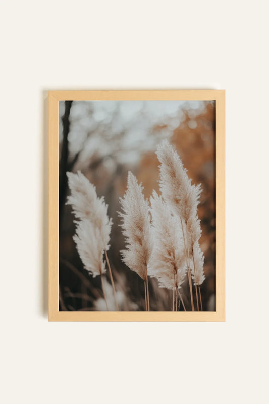 GOLDEN FEATHER, Toile Rigide