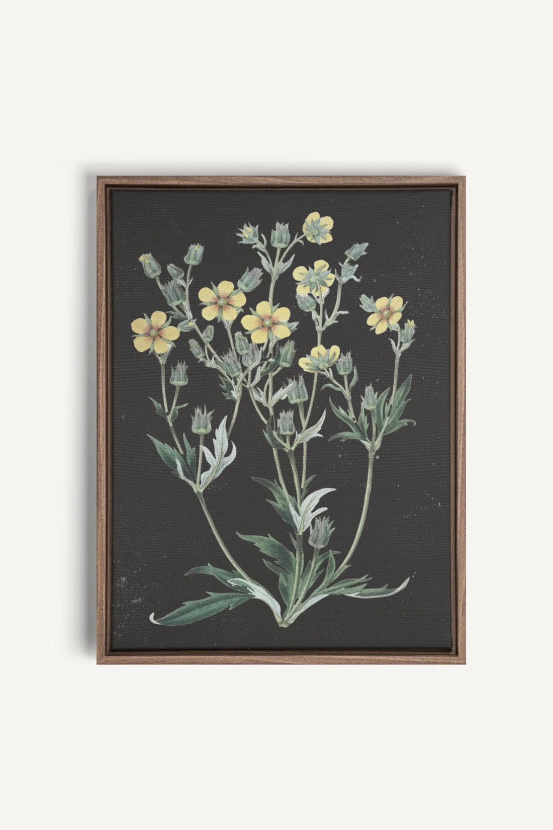 GOLDEN STILLNESS, Oeuvre sur toile étirée, encadré Brun Chêne