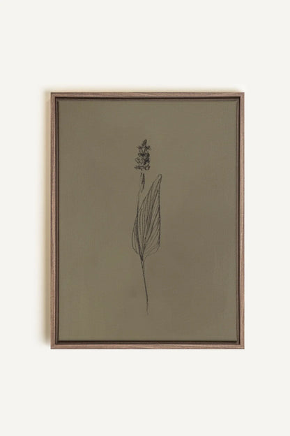 OLEKA CANVAS - GRAIN DE NATURE, Oeuvre sur toile étirée, encadré Brun Chêne