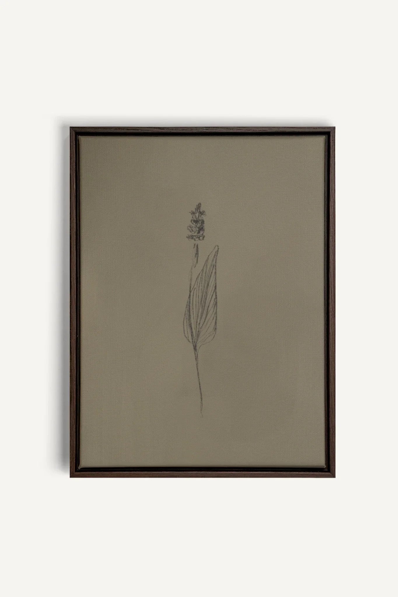 OLEKA CANVAS - GRAIN DE NATURE, Oeuvre sur toile étirée, encadré Brun Noyer