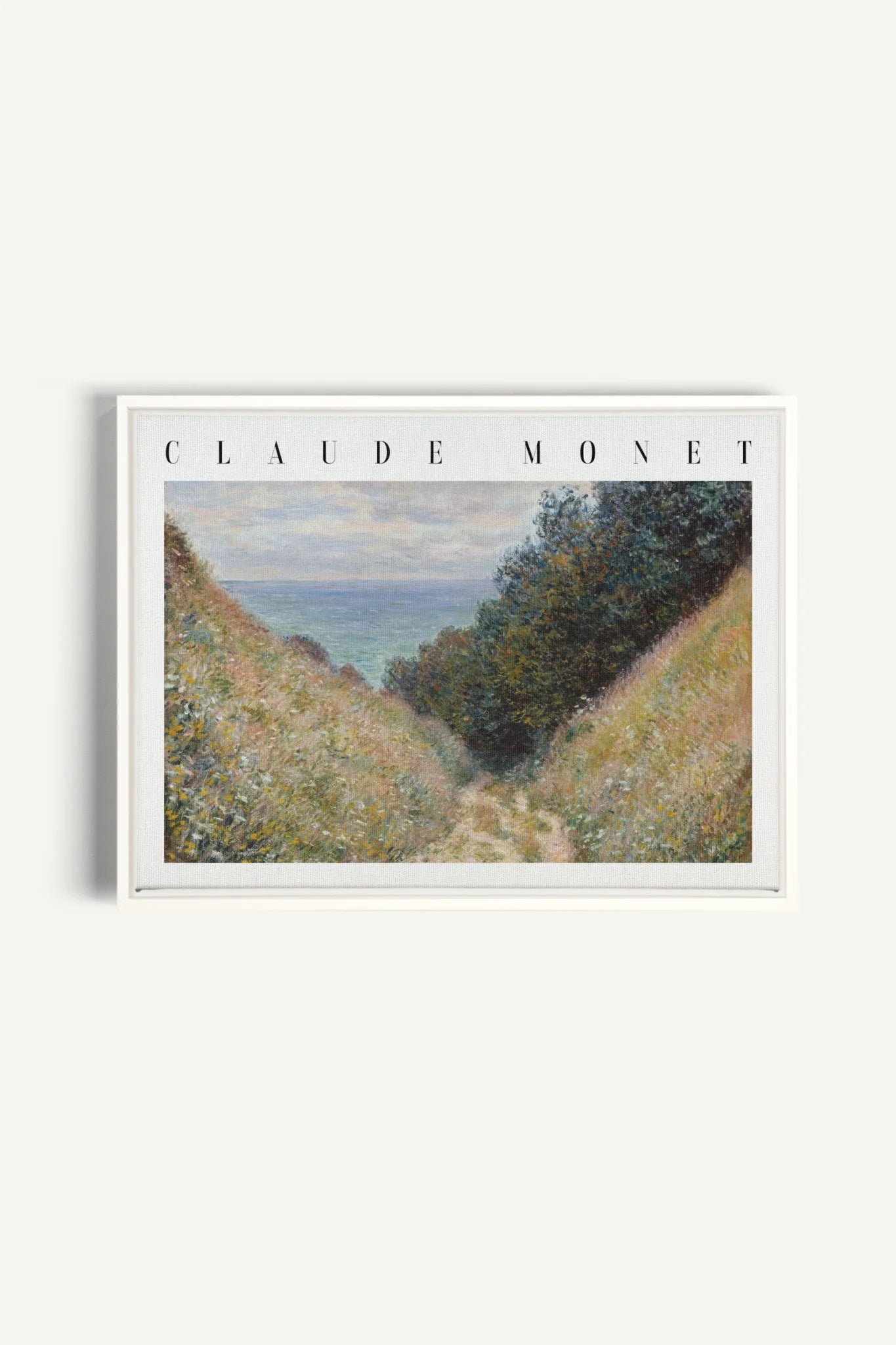 HERBES SALÉES, Oeuvre sur toile étirée, encadré Blanc