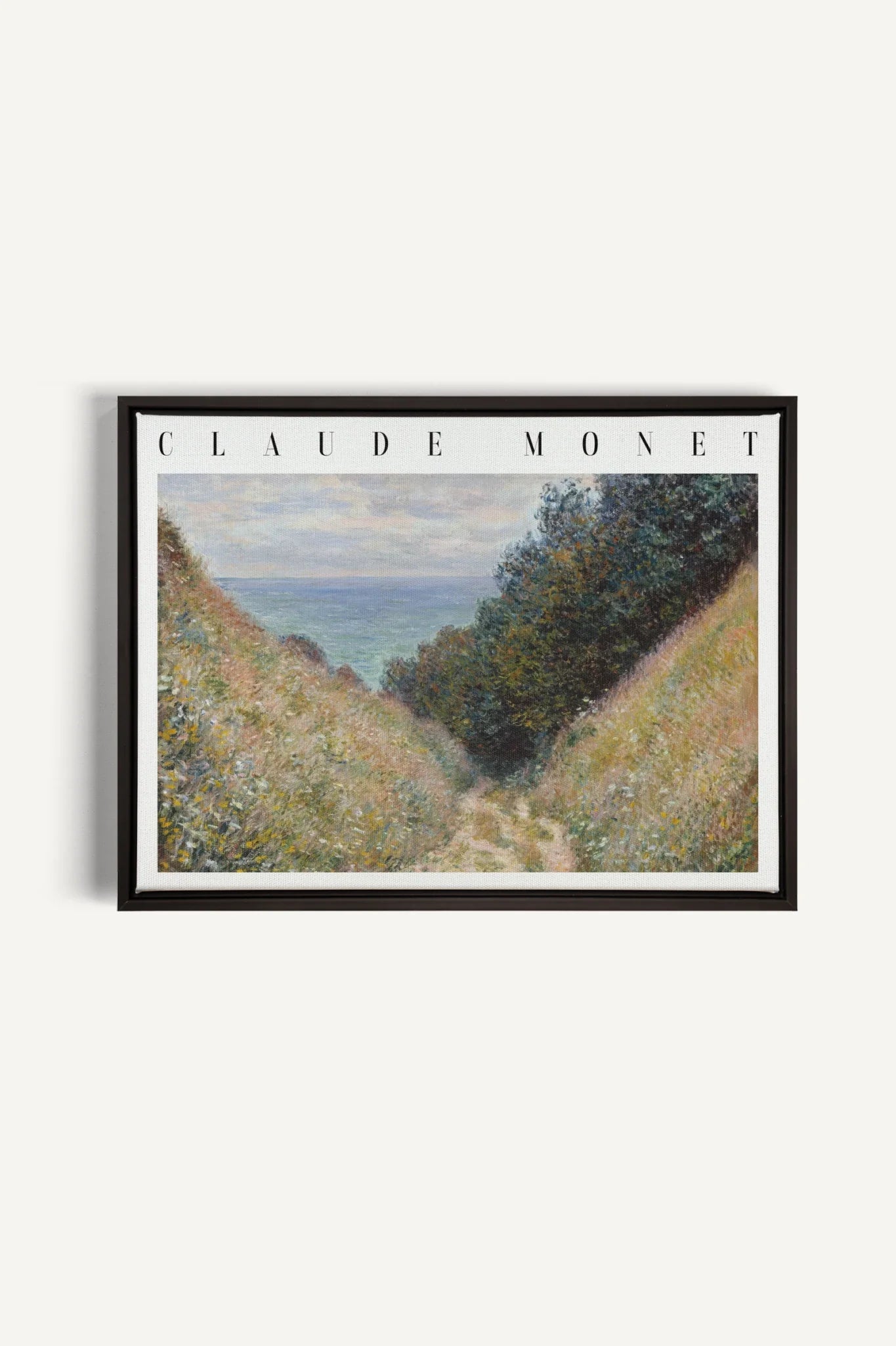 HERBE SALÉES, Oeuvre sur toile étirée, encadré Noir