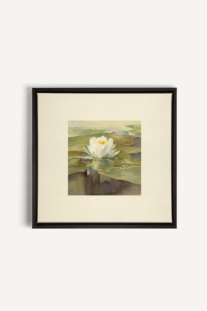 LOTUS DE LIN, Oeuvre sur toile étirée, encadré Noir