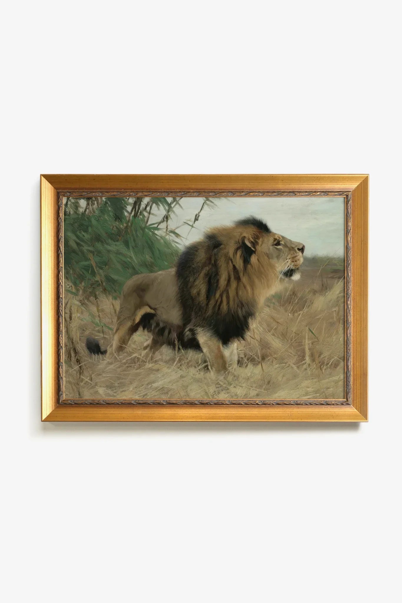 MAJESTÉ SAUVAGE, Oeuvre sur toile rigide, encadré Vintage Or