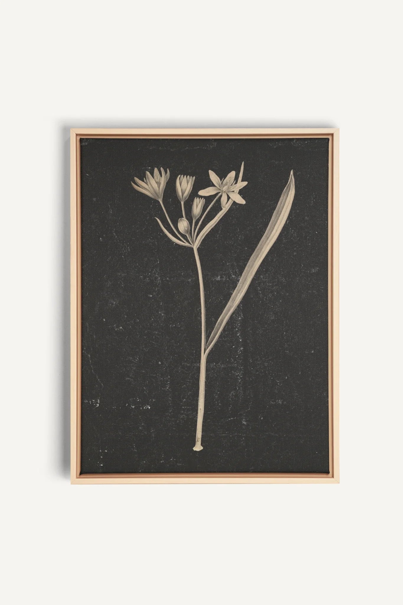 MINIMAL FLORA, Oeuvre sur toile étirée, encadré Naturel Clair