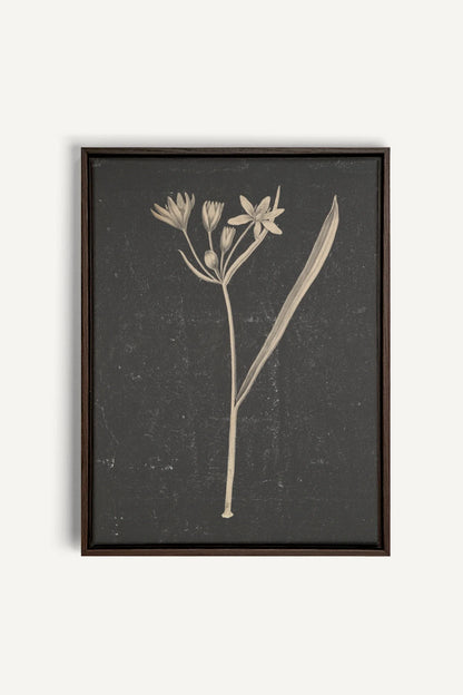MINIMAL FLORA, Work on stretched canvas, framed Walnut Brown