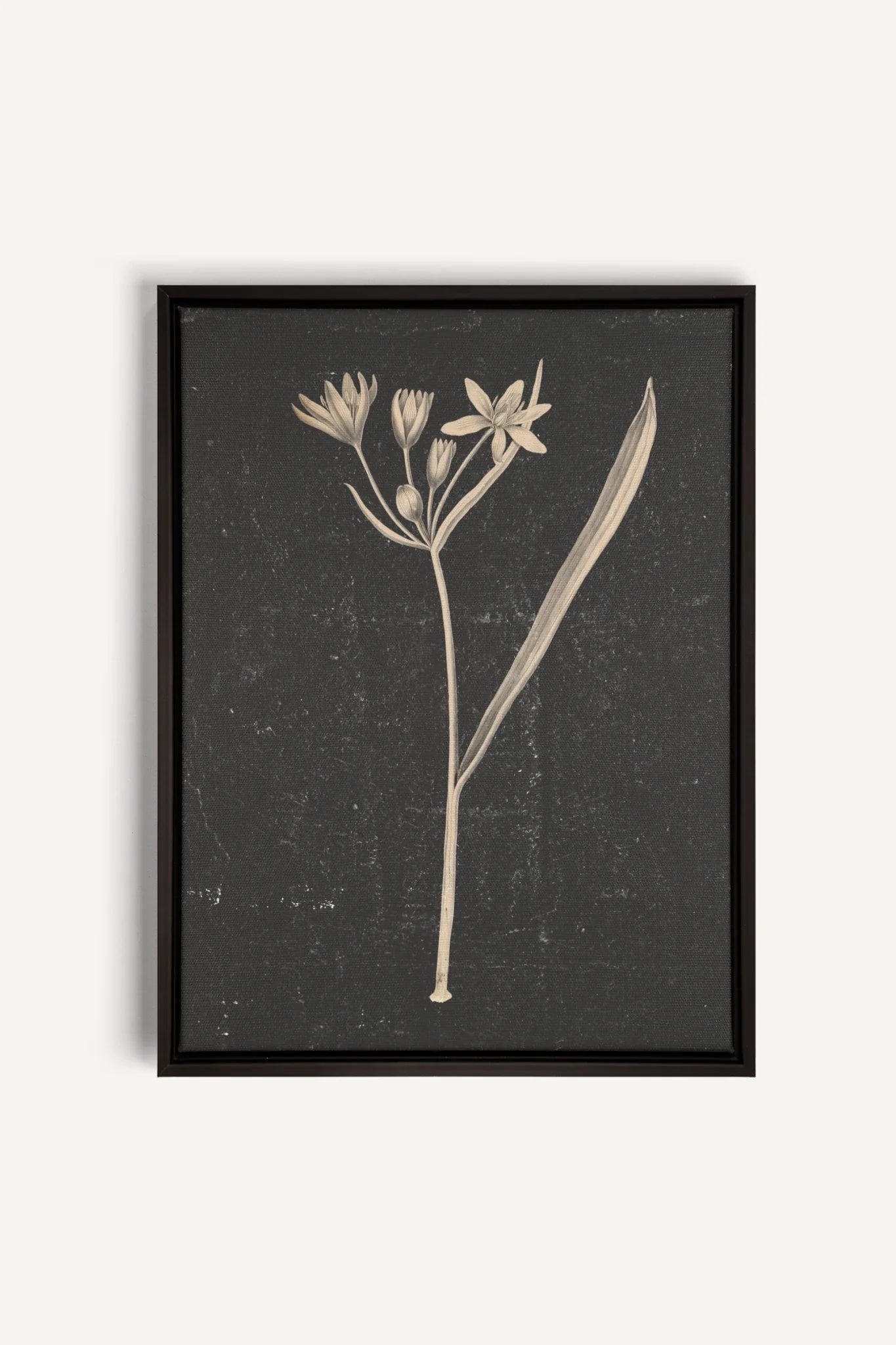 MINIMAL FLORA, Oeuvre sur toile étirée, encadré Noir