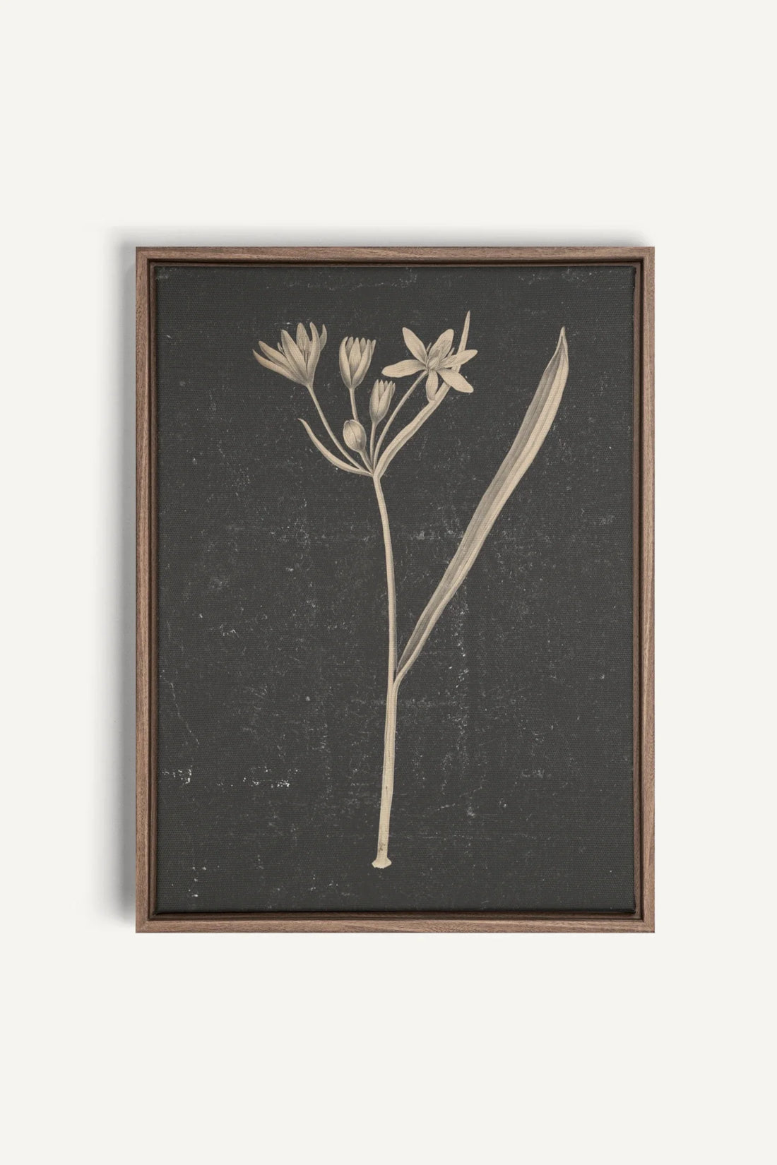 MINIMAL FLORA, Oeuvre sur toile étirée, encadré Brun Chêne