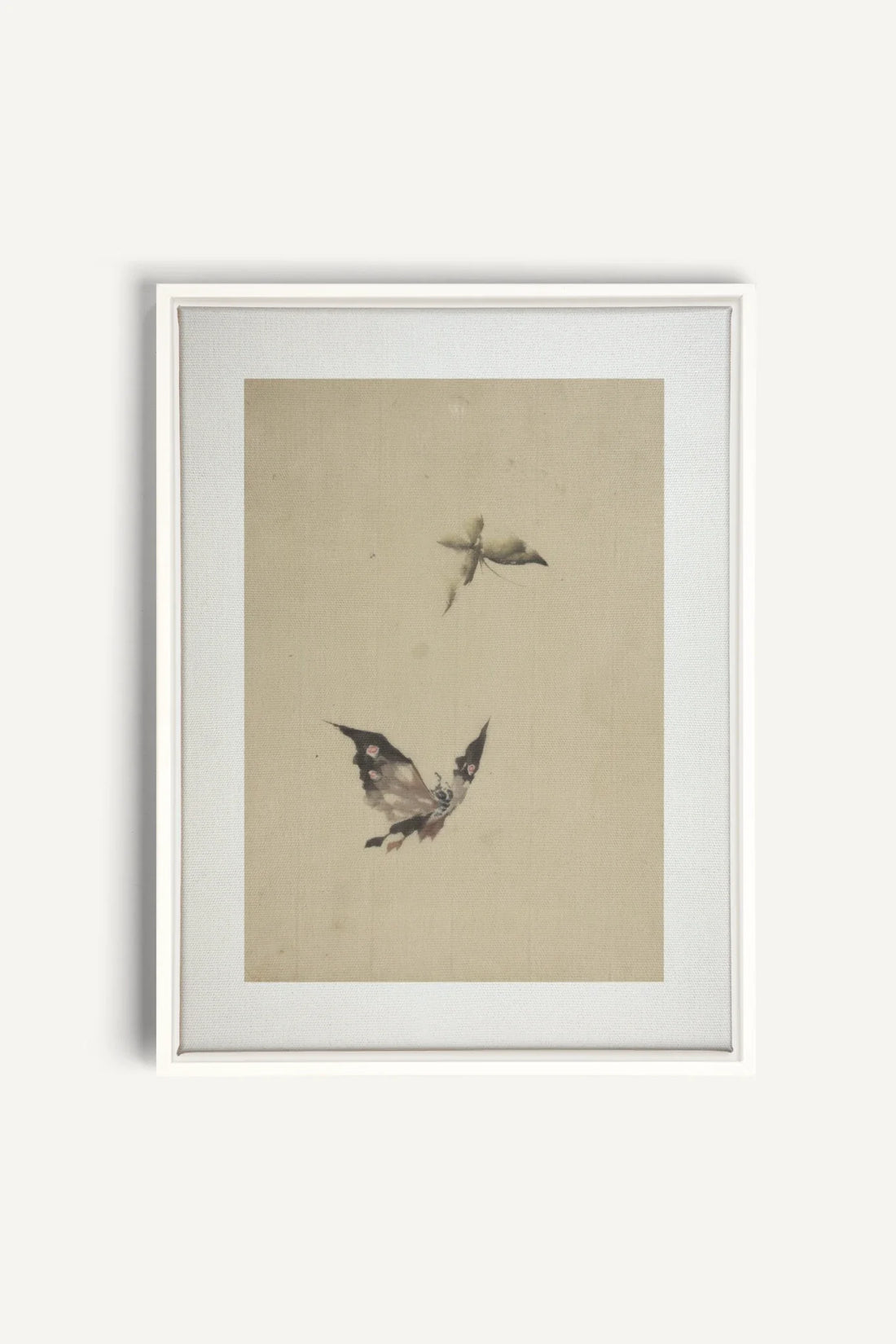 MISTY WINGS, Oeuvre sur toile étirée, encadré Blanc