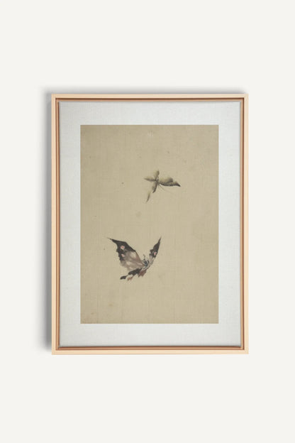 MISTY WINGS, Oeuvre sur toile étirée, encadré Naturel Clair