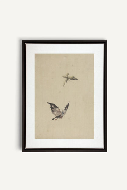 MISTY WINGS, Oeuvre sur toile étirée, encadré Noir