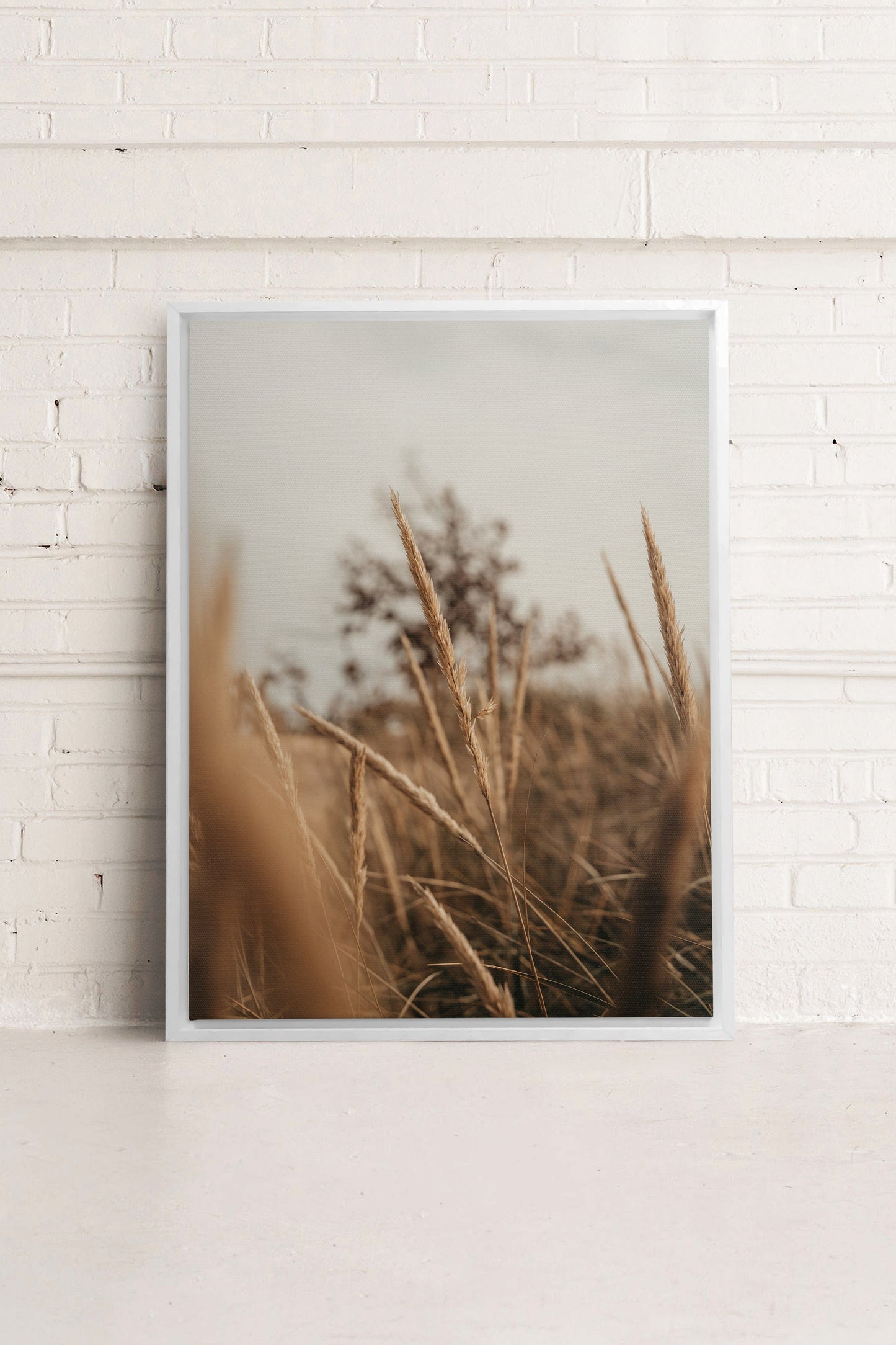 WHEAT, Work on stretched canvas