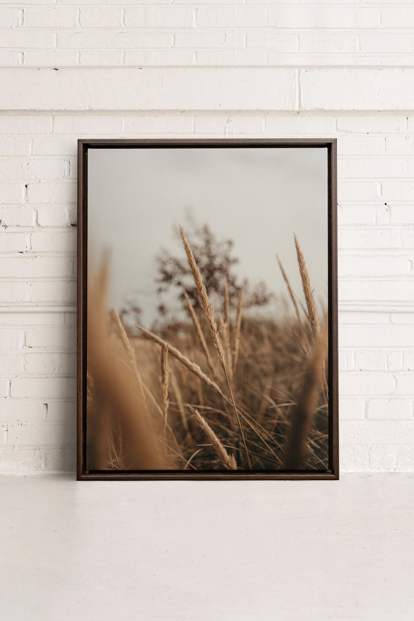 WHEAT, Work on stretched canvas