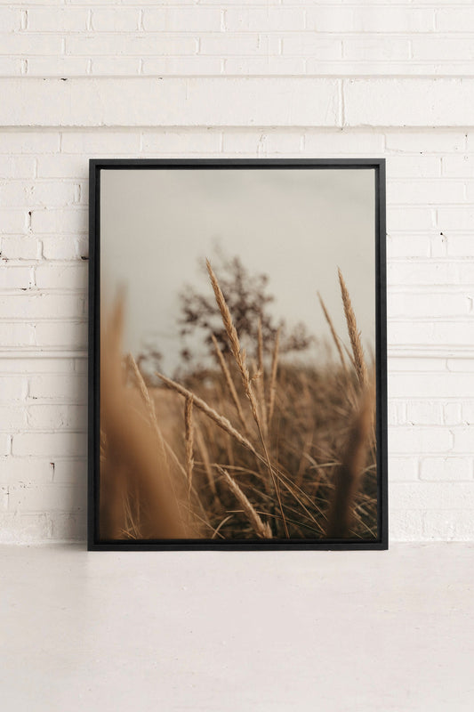 WHEAT, Work on stretched canvas