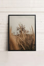 WHEAT, Work on stretched canvas