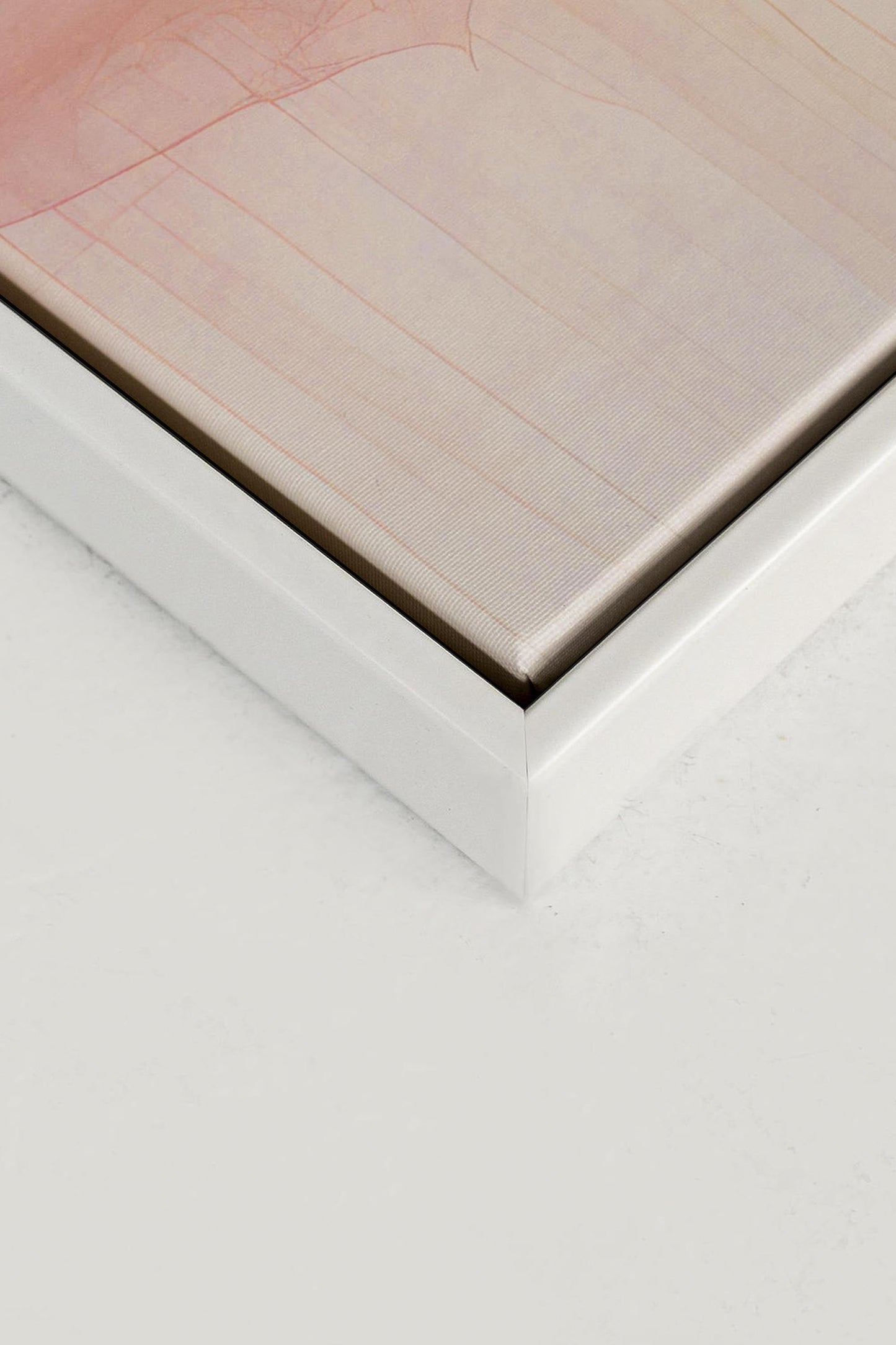 FLUID FORMS, toile imprimée