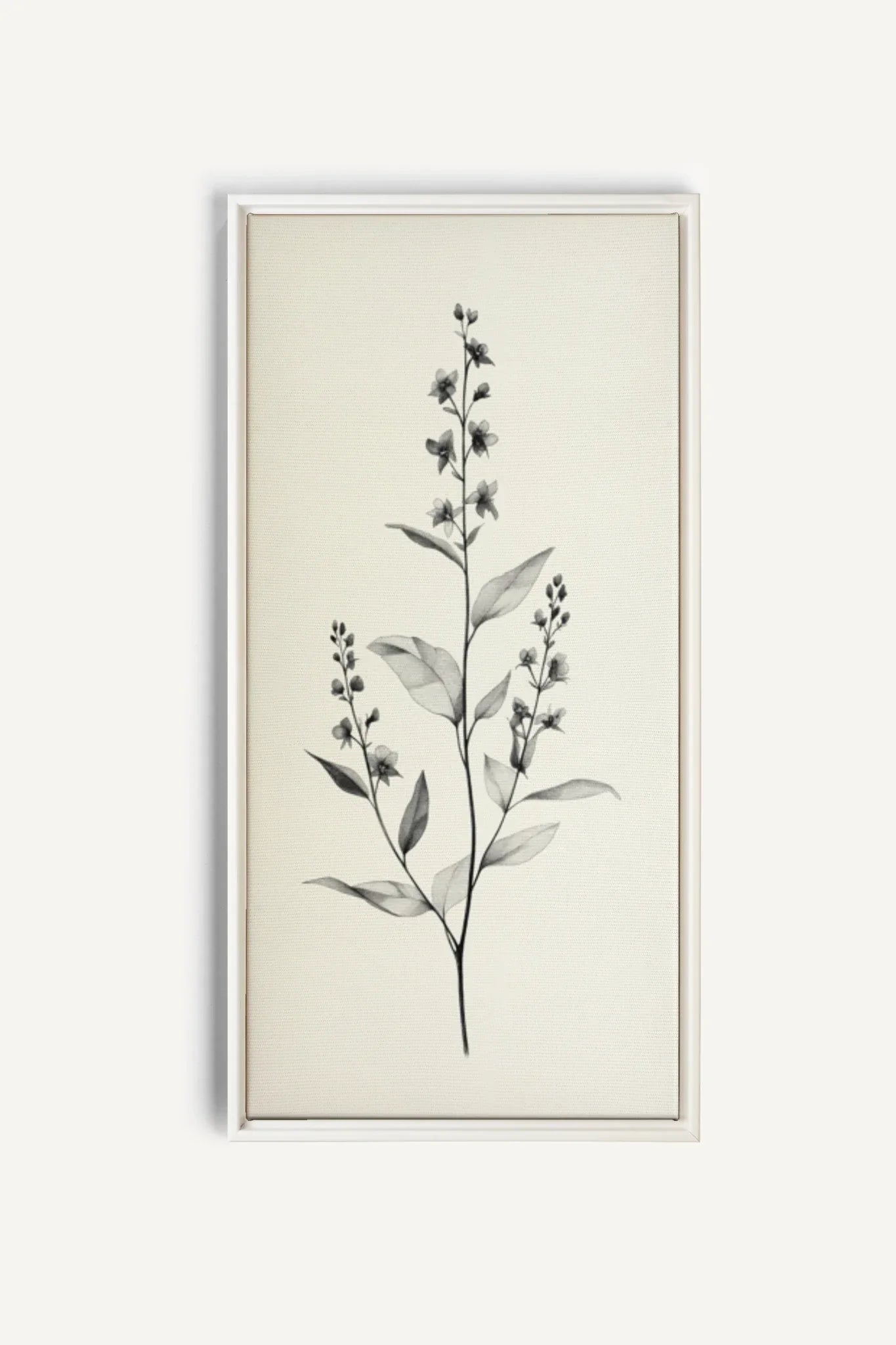 OLEKA CANVAS - NATURE&