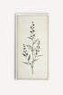 OLEKA CANVAS - NATURE&