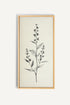 OLEKA CANVAS - NATURE&