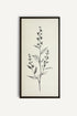 OLEKA CANVAS - NATURE&