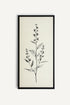 OLEKA CANVAS - NATURE&