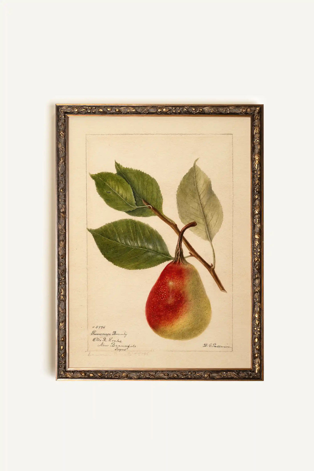 NECTAR DE LA SAISON, Oeuvre sur toile rigide, encadré Vintage Bronze