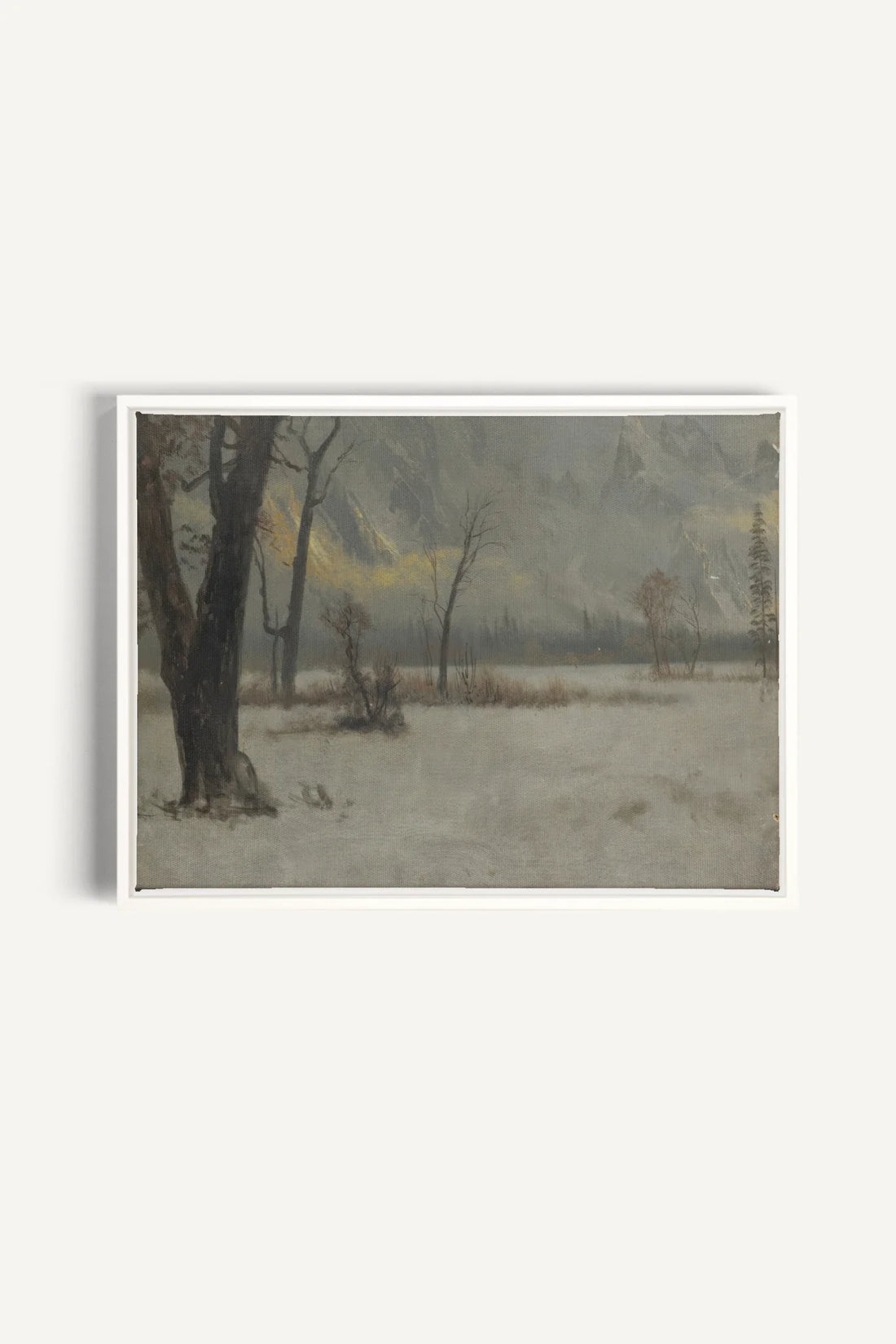 NORTHERN VEIL, Oeuvre sur toile étirée, encadré Blanc
