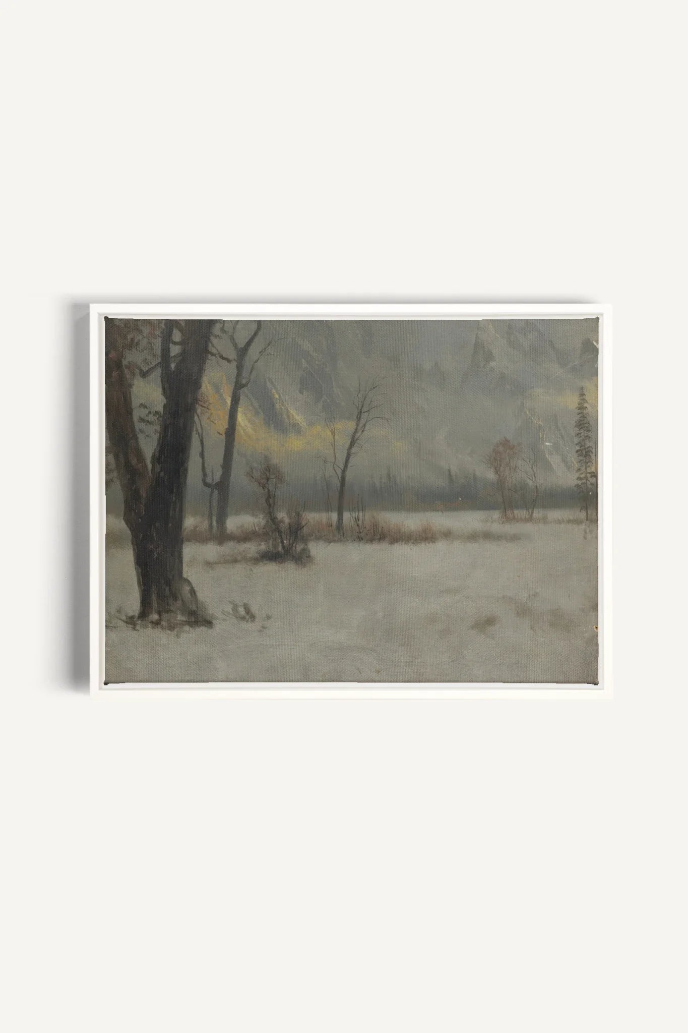 NORTHERN VEIL, Oeuvre sur toile étirée, encadré Blanc