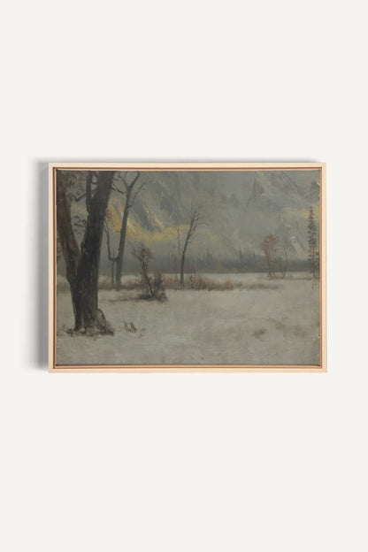 NORTHERN VEIL, Oeuvre sur toile étirée, encadré Naturel Clair