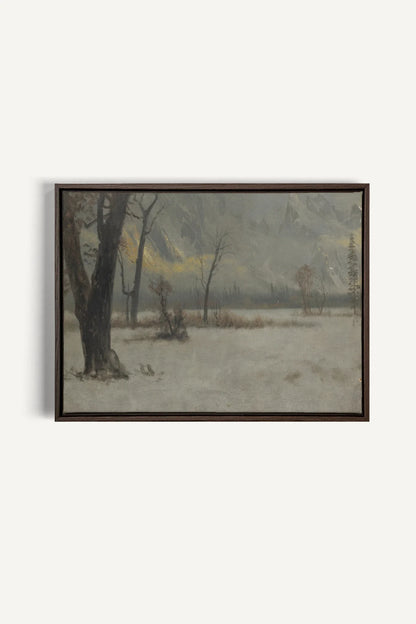 NORTHERN VEIL, Oeuvre sur toile étirée, encadré Brun Noyer