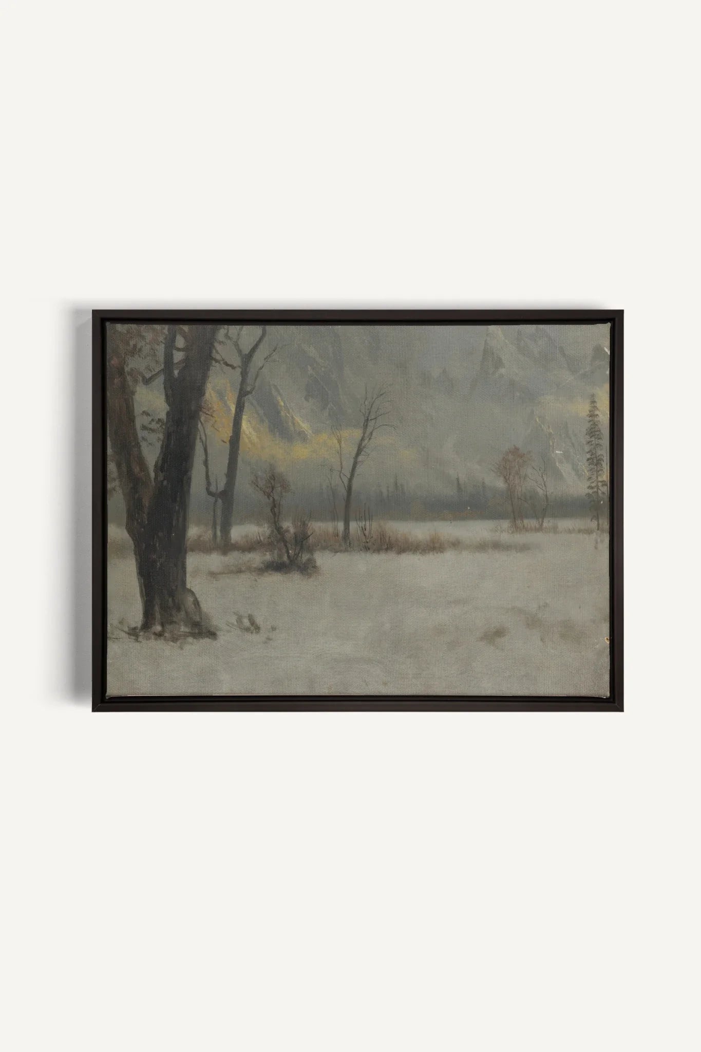 NORTHERN VEIL, Oeuvre sur toile étirée, encadré Noir