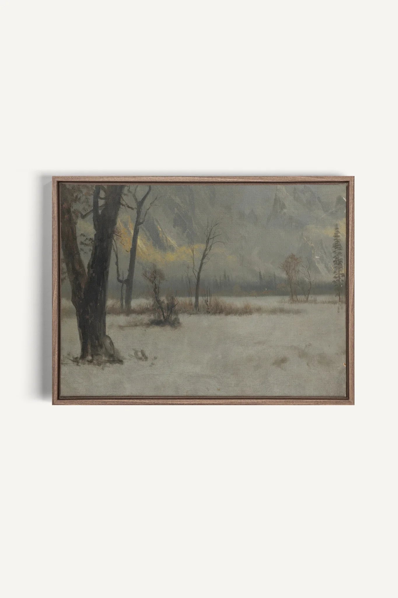 NORTHERN VEIL, Oeuvre sur toile étirée, encadré Brun Chêne