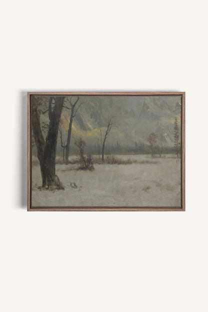 NORTHERN VEIL, Oeuvre sur toile étirée, encadré Brun Chêne