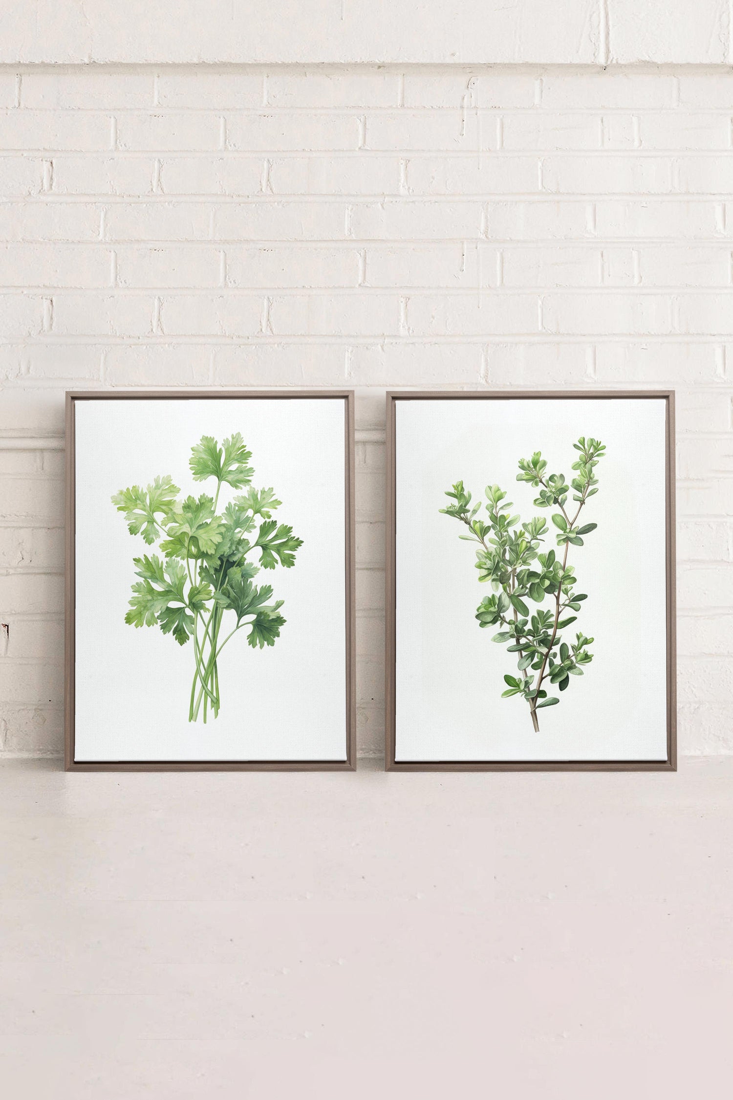 DUO FINES HERBES, 2 Oeuvres sur toile étirée, encadré Brun Chêne