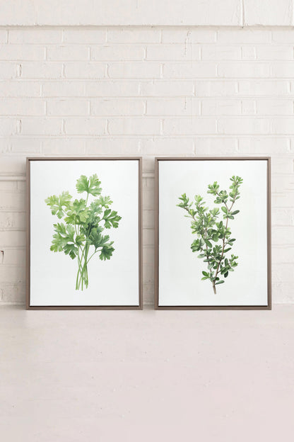 DUO FINES HERBES, 2 Oeuvres sur toile étirée, encadré Brun Chêne