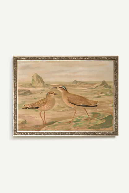 OISEAUX DE SABLE, Oeuvre sur toile rigide, encadré Vintage Argent