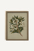 OLK_HLD_12, Oeuvre sur toile rigide, encadré brun chêne
