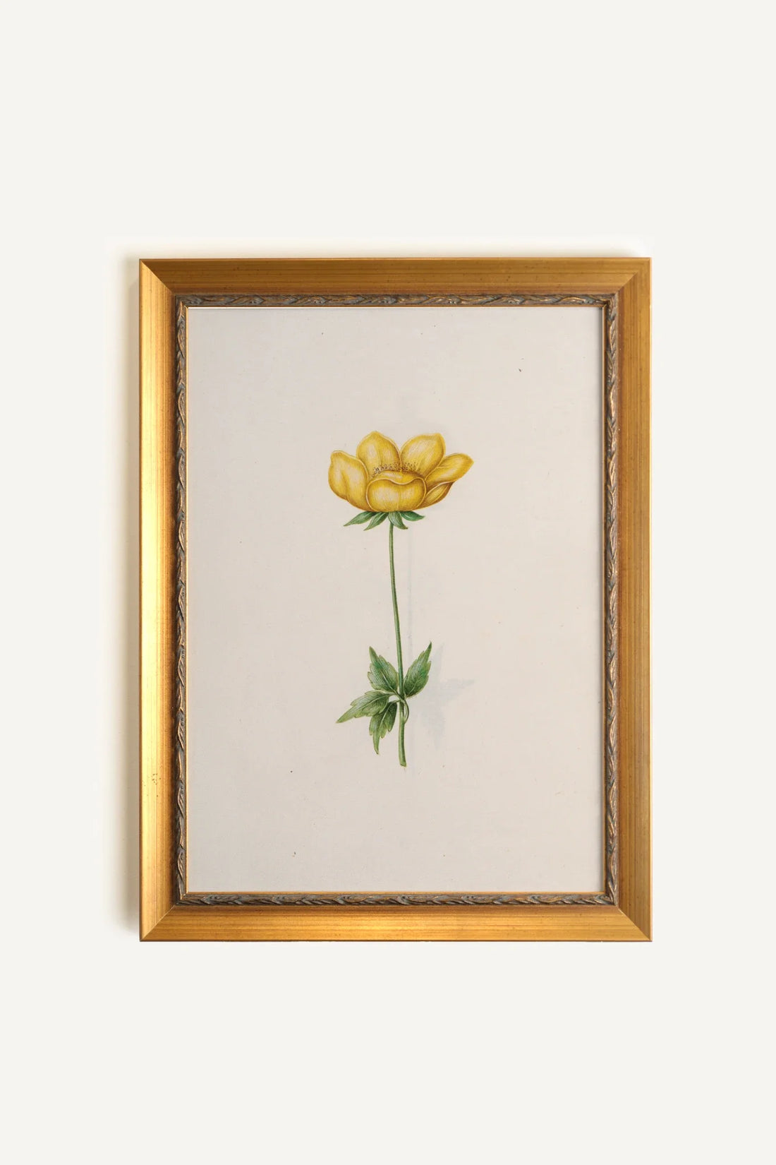 POÉSIE BOTANIQUE, Artwork on rigid canvas, framed in Vintage Gold