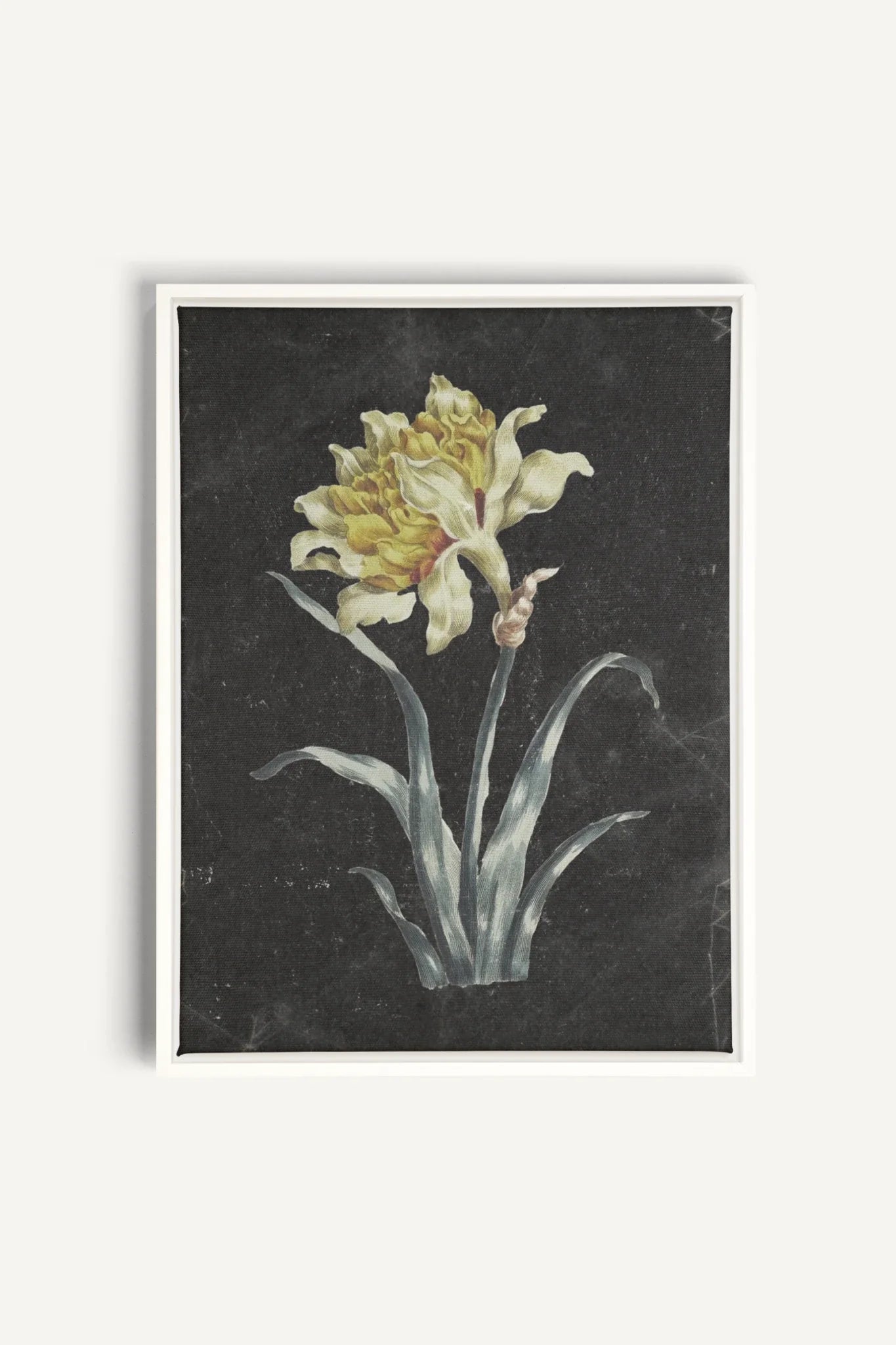 PRECIOUS FLORA, Oeuvre sur toile étirée, encadré Blanc